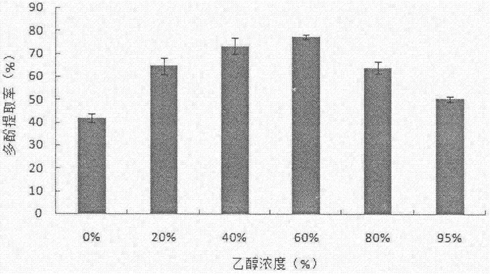 一種具有抗氧化活性的藍(lán)莓葉多酚制備方法與流程