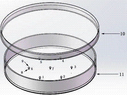 微生物培养皿的制造方法与工艺