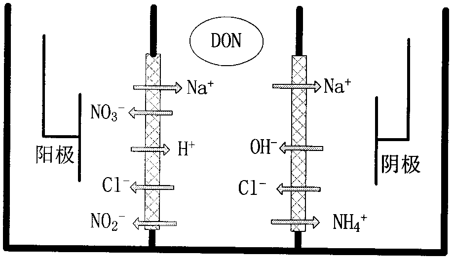 一種基于滲析疊加電場(chǎng)預(yù)處理方式直接測(cè)量水體中溶解性有機(jī)氮濃度的方法與流程