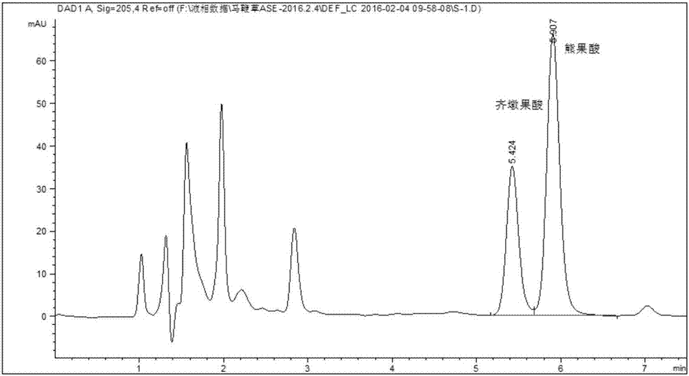 一种ASE‑HPLC法测定马鞭草中齐墩果酸和熊果酸总含量的方法与流程