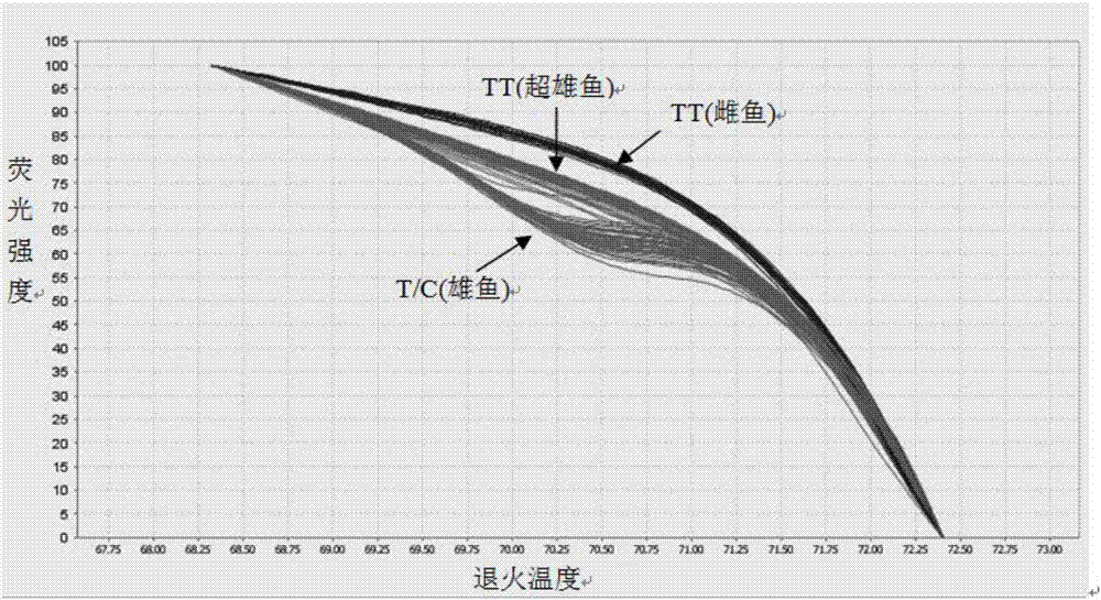 一種可用于烏鱧遺傳性別和超雄魚(yú)鑒定的SNP標(biāo)記及其應(yīng)用的制造方法與工藝