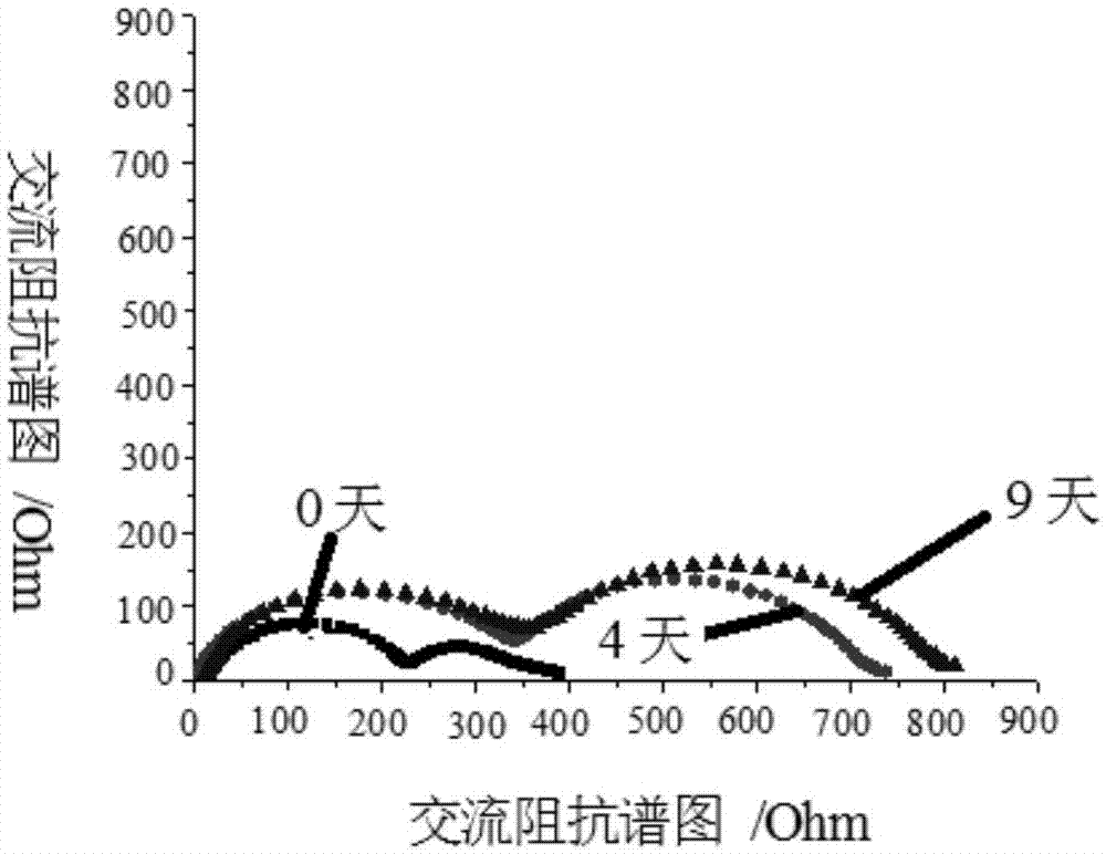 具有有機-無機復合保護層的電極、其制備方法及應用與流程