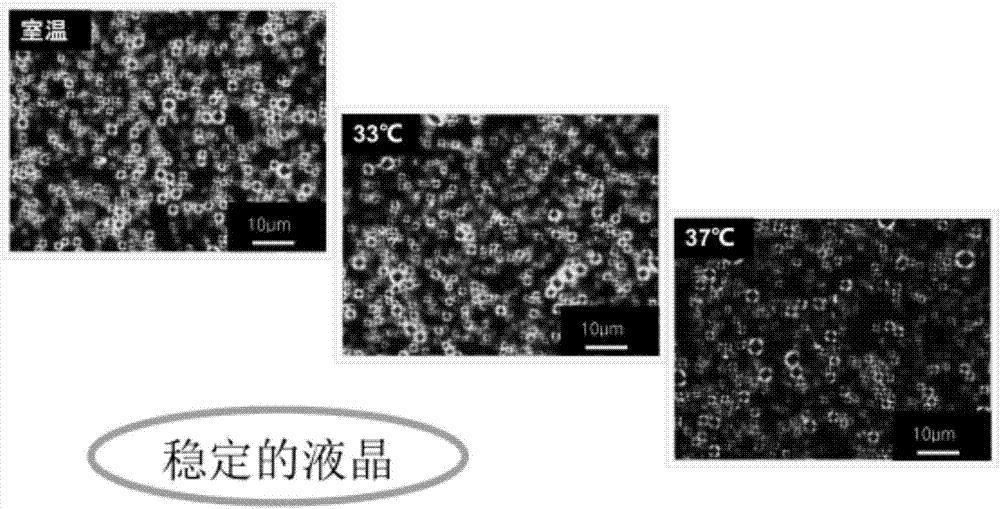 一種層狀液晶滋潤(rùn)霜及其制備方法與流程