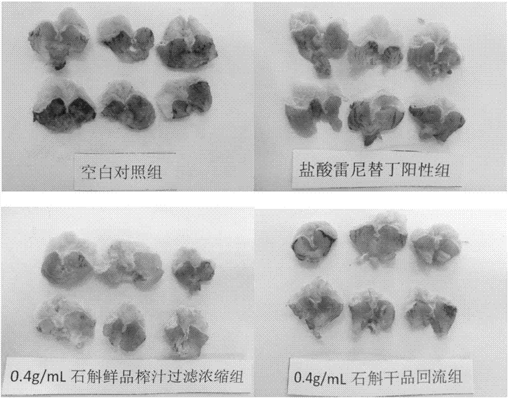 一種鮮鐵皮石斛凝膠顆粒及其制備方法和用途與流程