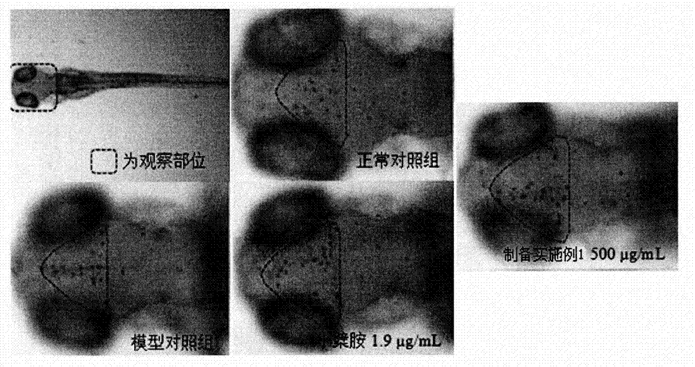 一種肉蓯蓉提取物及其工業(yè)化制備方法和新用途與流程