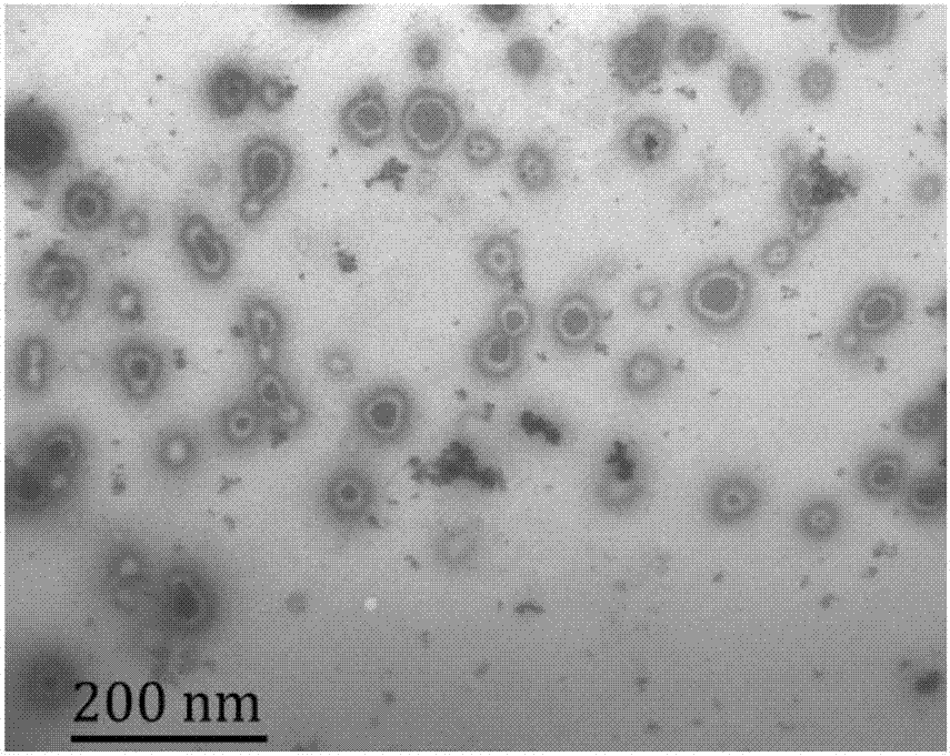 染料木素‑维生素E琥珀酸酯‑聚乙二醇1000维生素E琥珀酸酯纳米胶束的制备方法与流程