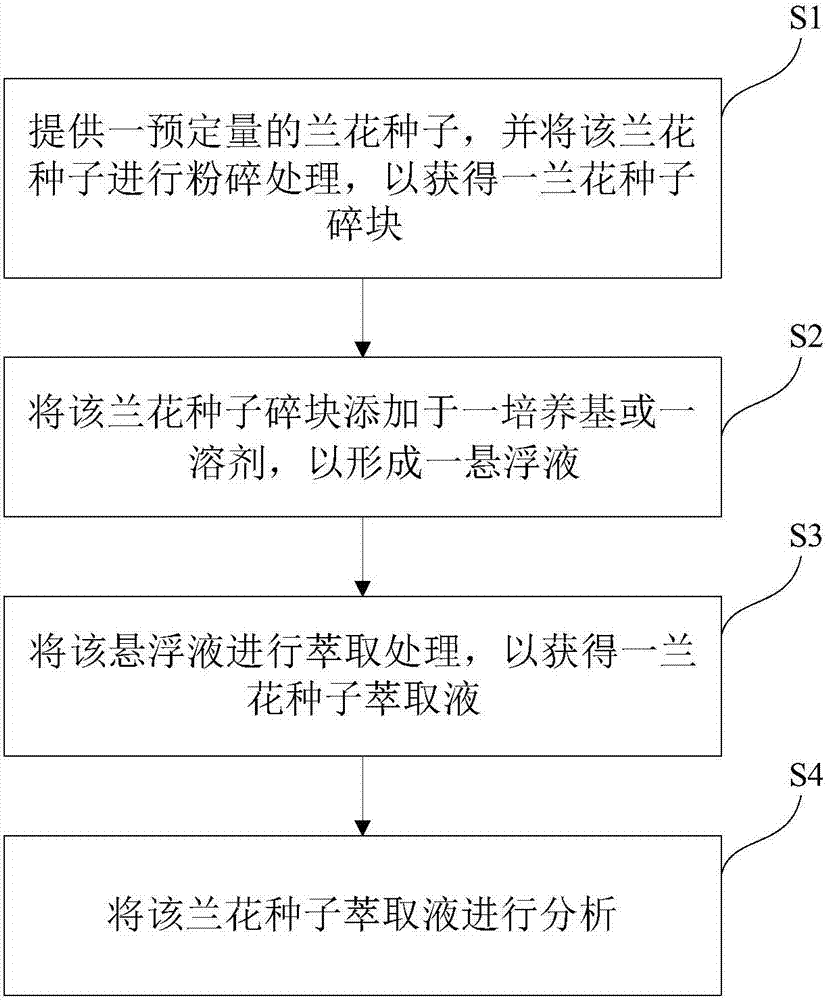 兰花种子的萃取物及其添加产品的制造方法与工艺