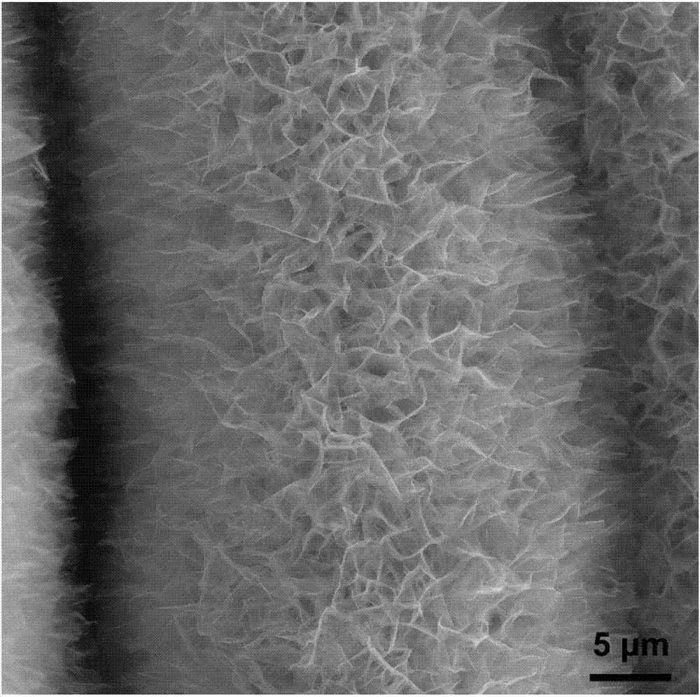 氮掺杂多孔垂直石墨烯纳米墙阵列及其制备方法与应用与流程