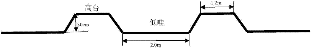 一種黃河三角洲鹽堿地中藥材生態(tài)生產方法與流程