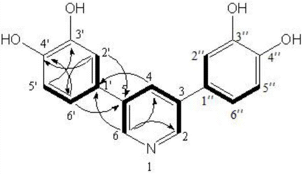 3,5‑二（3,4‑二羟基苯基）吡啶及其提取方法和应用与流程