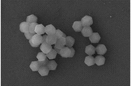 一種堆積納米片結(jié)構(gòu)的鈷基材料的制備方法與流程