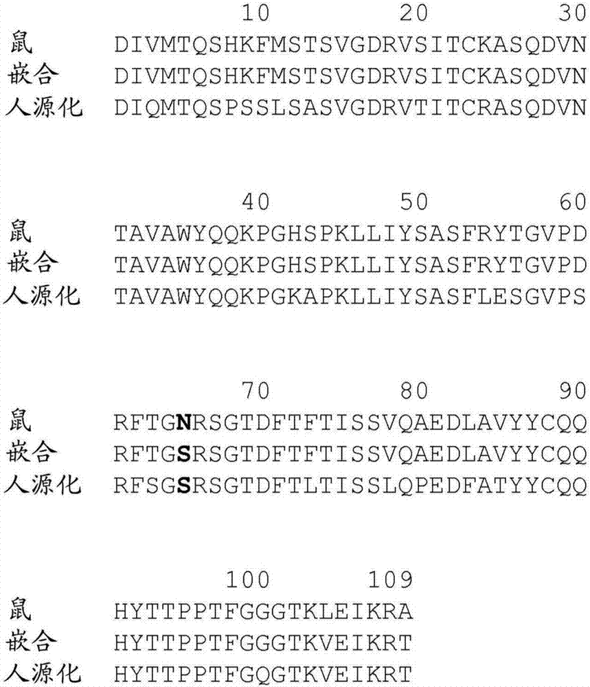 HER2/neu‑特异性抗体和其使用方法与流程