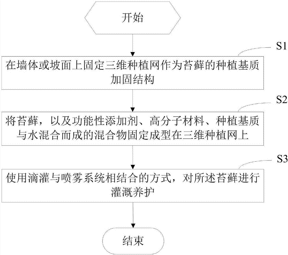 苔蘚立體綠化工藝的制造方法與工藝