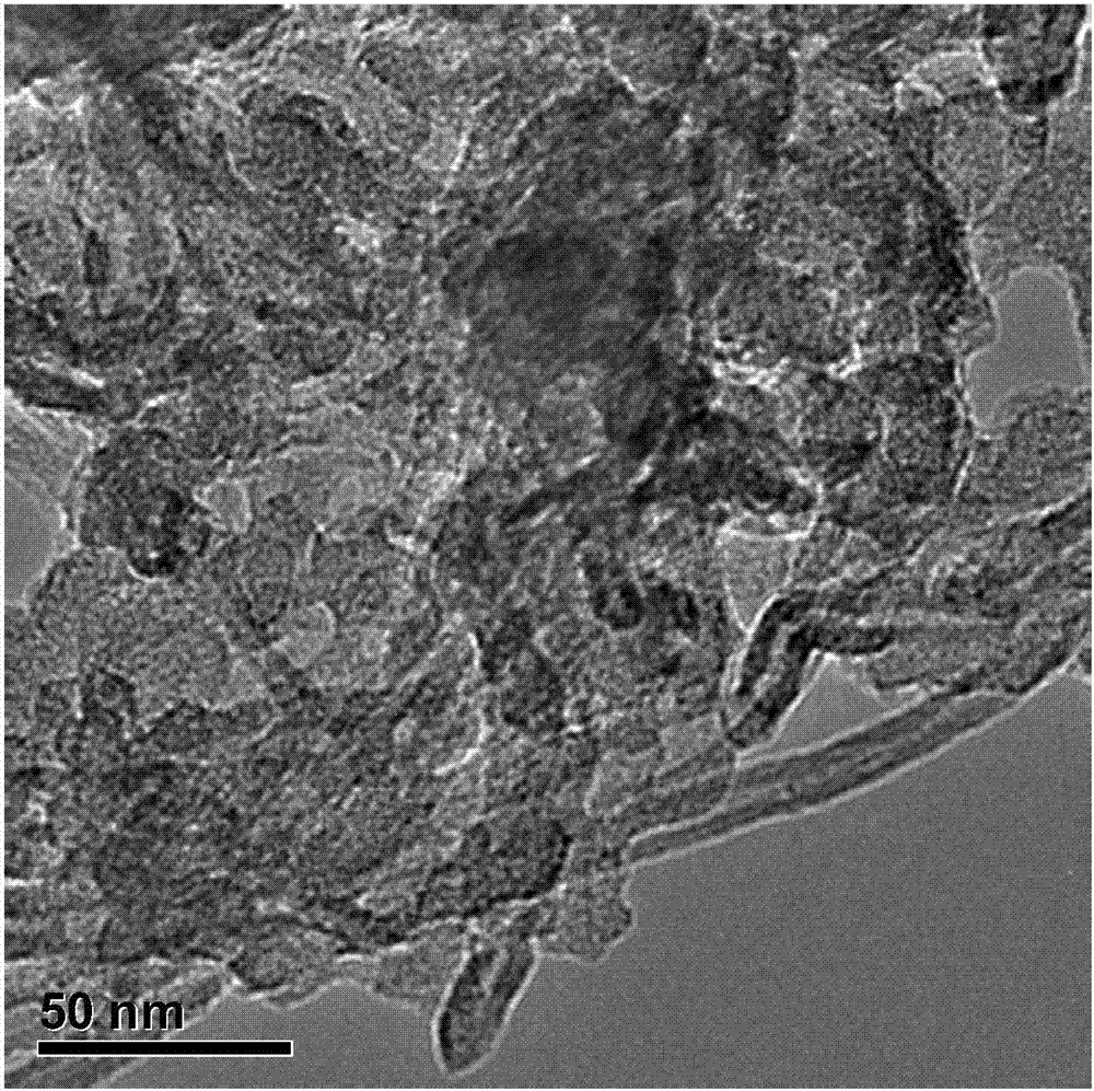 一种氮掺杂碳纳米复合材料及其制备方法和用途与流程