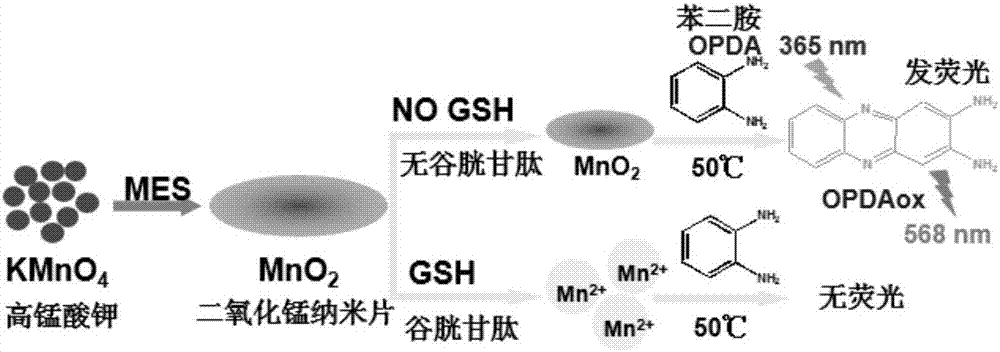 一種檢測(cè)谷胱甘肽的熒光生物傳感方法與流程