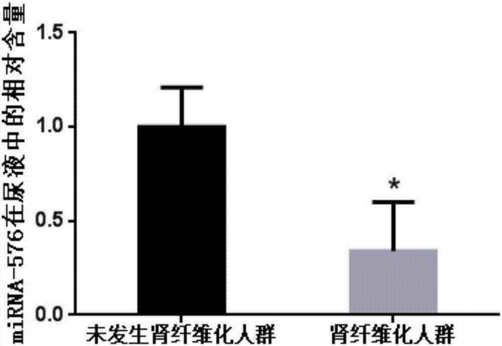 一種腎纖維化miRNA標記物的制造方法與工藝