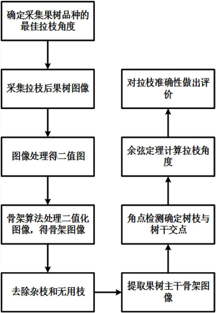 基于骨架角點(diǎn)檢測(cè)的果樹(shù)拉枝效果評(píng)價(jià)方法與流程