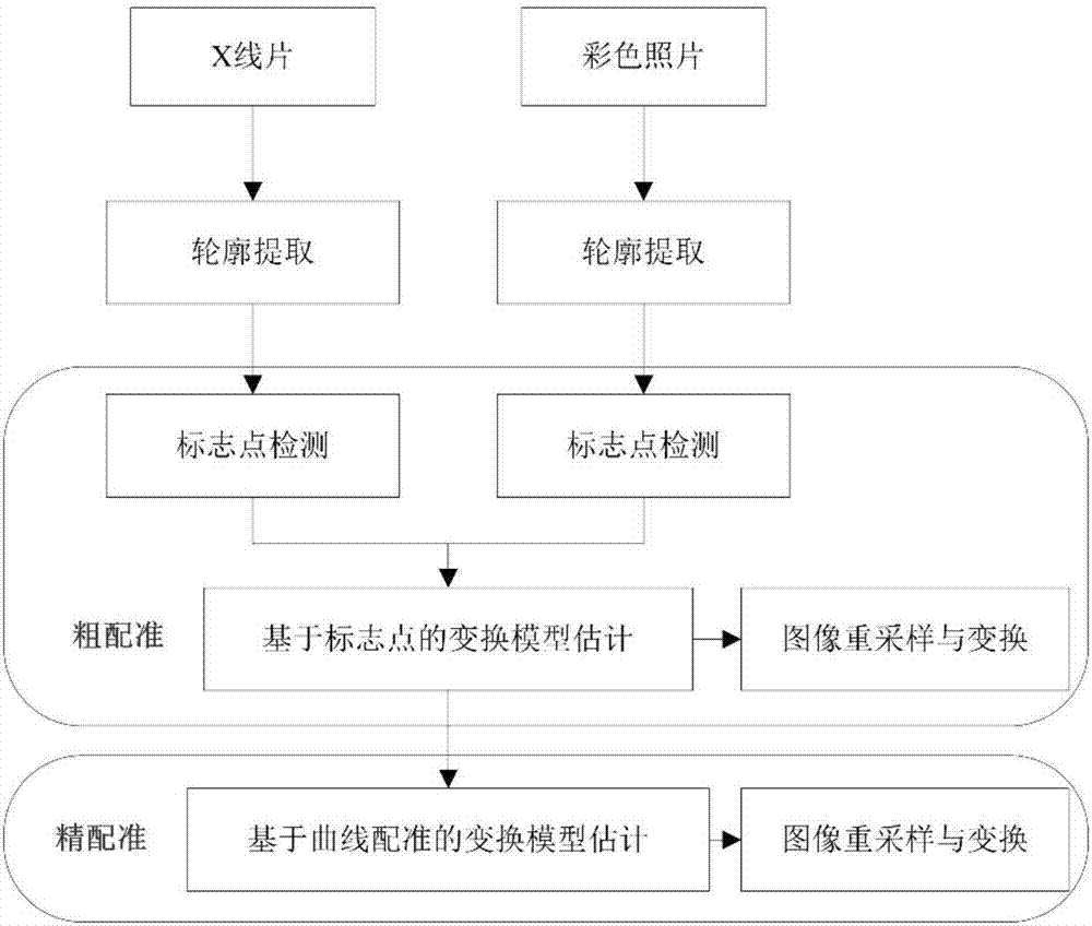 一種基于輪廓特征的X線片和彩色照片配準(zhǔn)方法與流程
