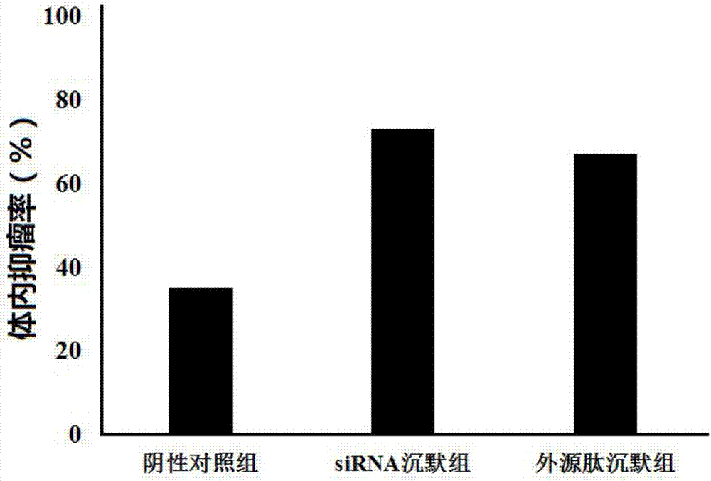 一種提高DC疫苗抗肝癌效果的基因靶標、抑制劑和DC腫瘤疫苗的制造方法與工藝