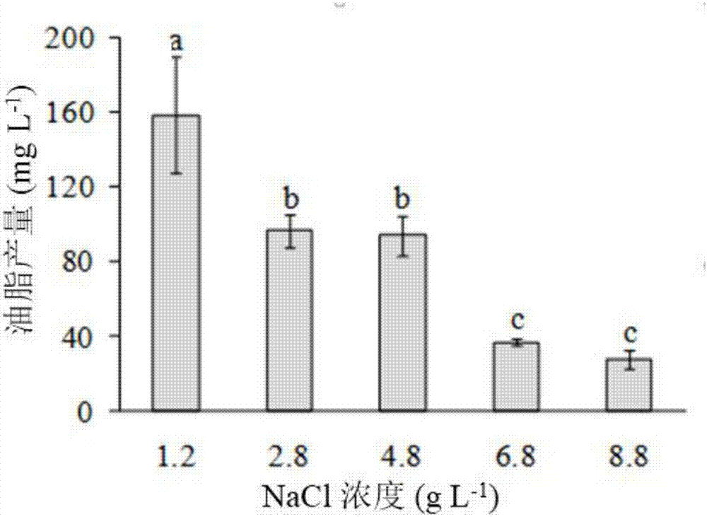 一种利用斜生栅藻去除苦咸水中的盐并产油的方法与流程