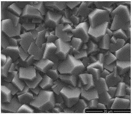 一種在磷酸鈣類生物陶瓷基體表面構建的白磷鈣石涂層及其制備方法與流程