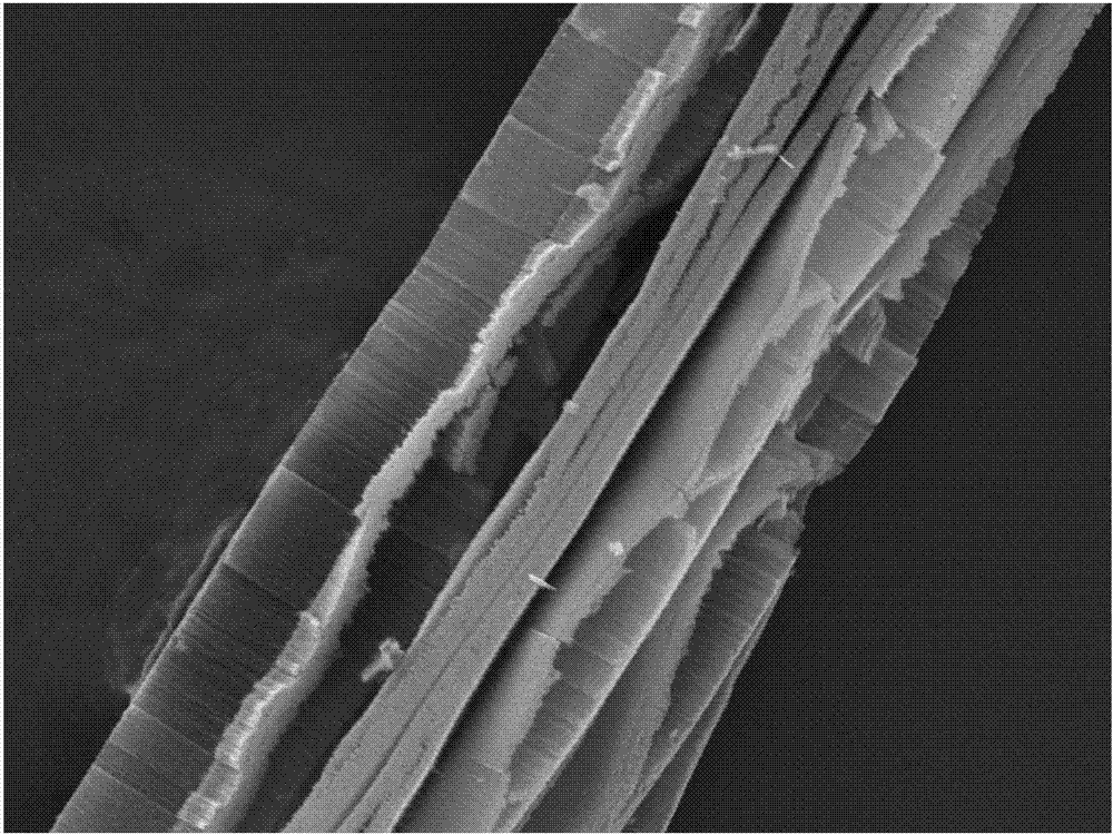 碳纤维‑碳纳米管阵列/硅树脂导热复合材料的制备方法与流程