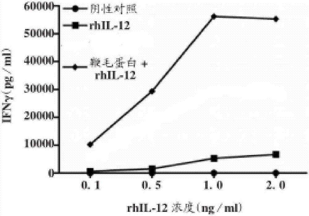 白介素-12和鞭毛蛋白在制備治療慢性乙型肝炎藥物中的用途的制造方法與工藝