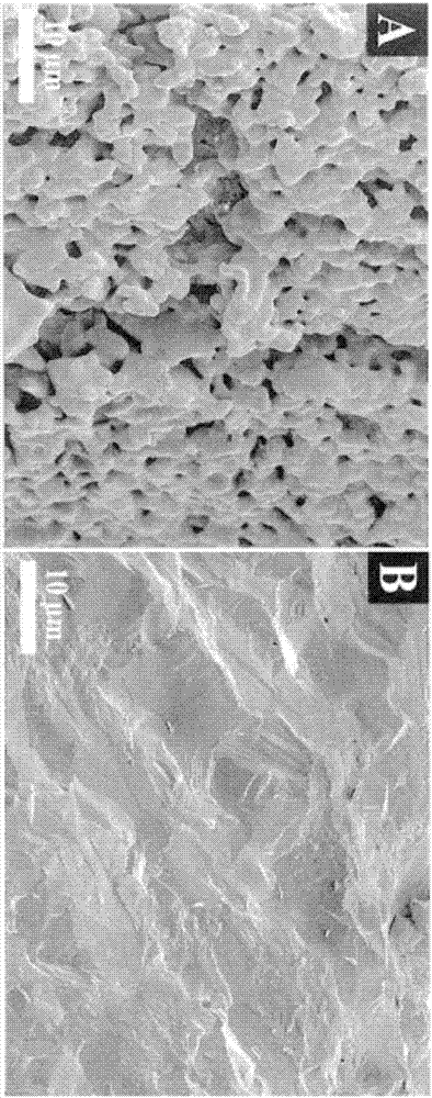 生物相容的材料及其用途的制造方法與工藝