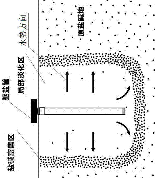微润驱盐管及其局部淡化盐碱地方法与流程