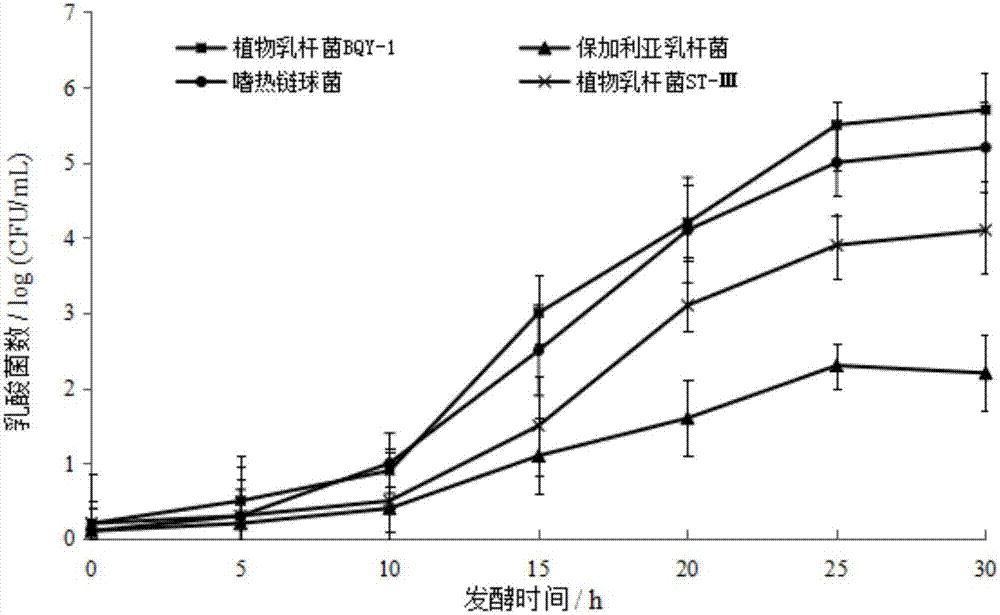 一種益生菌固體飲料的制作方法與流程