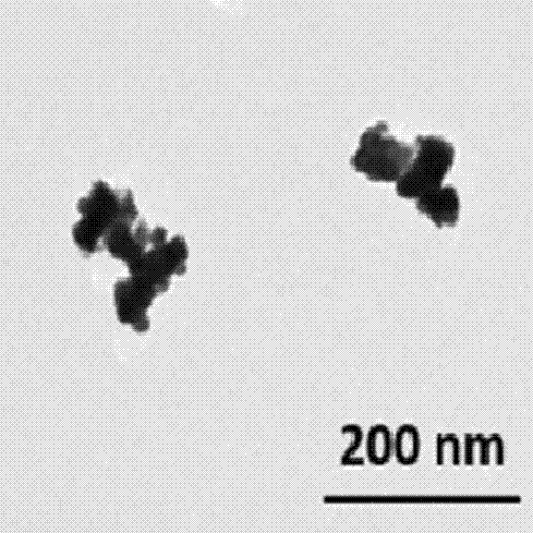 聚乙二醇化包裹普魯士藍的磁性載藥納米顆粒制備方法與流程