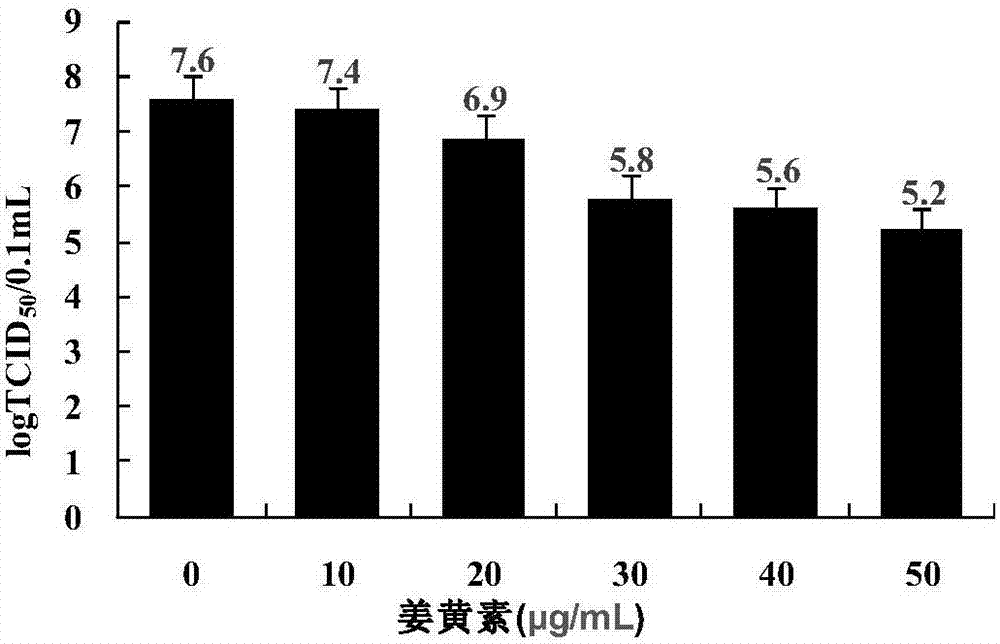 姜黄素在制备防治猪传染性胃肠炎病毒药物中的应用的制造方法与工艺