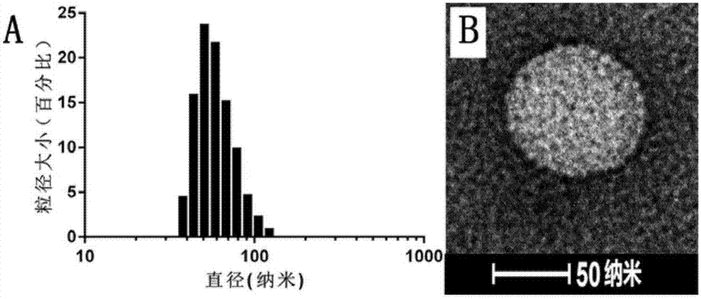 光控温敏脂质体及其制备方法和用途与流程