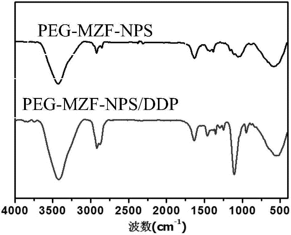 PEG‑MZF‑NPs/DDP复合物及其制备方法与流程
