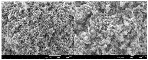 一種基于乳鐵蛋白活性的新型生物材料的制備方法與流程