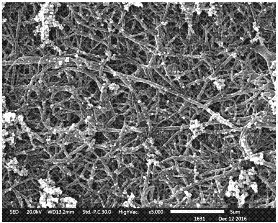 一种负载高活性纳米金属颗粒的纳米纤维多孔膜的制备方法与流程
