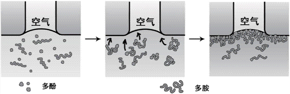 基于氣/液界面反應(yīng)的薄層復(fù)合膜及其制備方法和應(yīng)用與流程