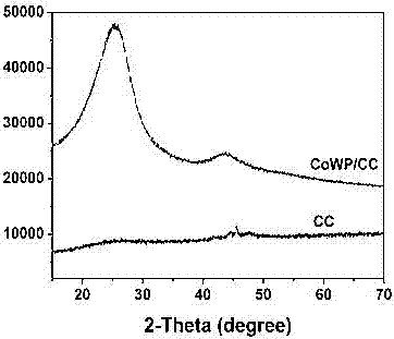 一种碳纤维负载CoWP催化剂及制备方法与流程