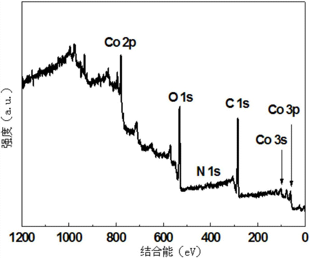 一种双功能氧催化剂钴/四氧化三钴/氮碳复合材料及其制备方法与流程