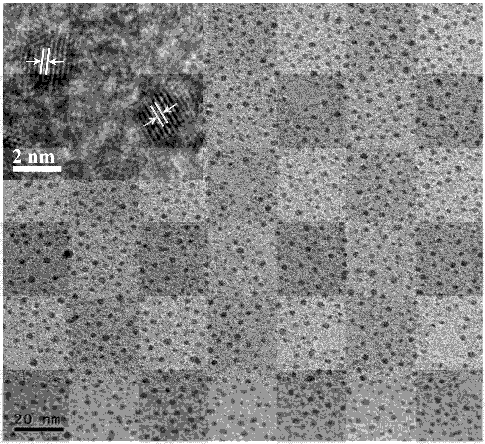 壳聚糖‑铂纳米粒子模拟氧化酶的制造方法与工艺