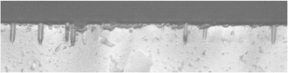 利用光学显微镜观测固体核径迹探测器的径迹形貌的方法与流程