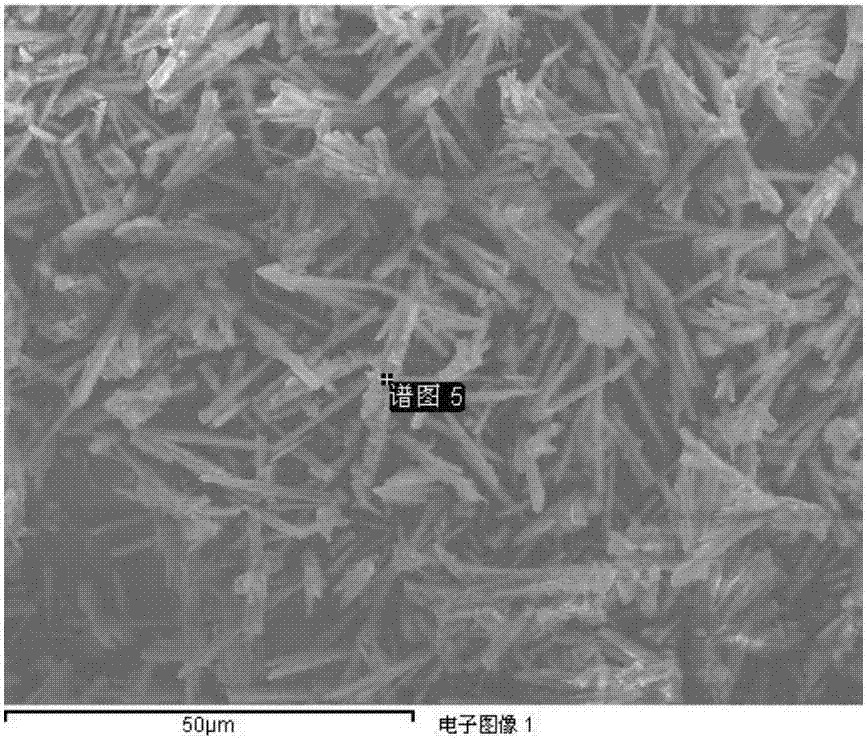 一種氫鍵人工發(fā)生器、其制備方法、在水處理中的應(yīng)用和人工控制氫鍵的方法與流程