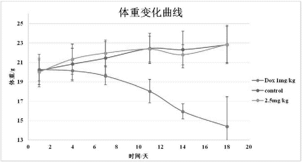 槐定胺類衍生物及其制備方法和用途與流程