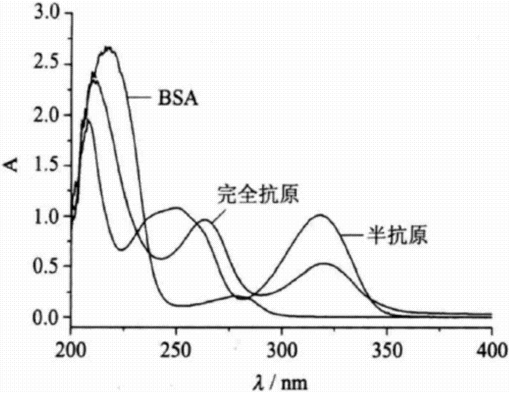 一種毒死蜱抗原及其制備方法與流程