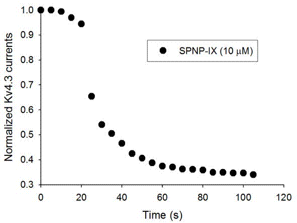 SPNP‑IX在制备Kv4.3通道工具试剂中的应用的制造方法与工艺