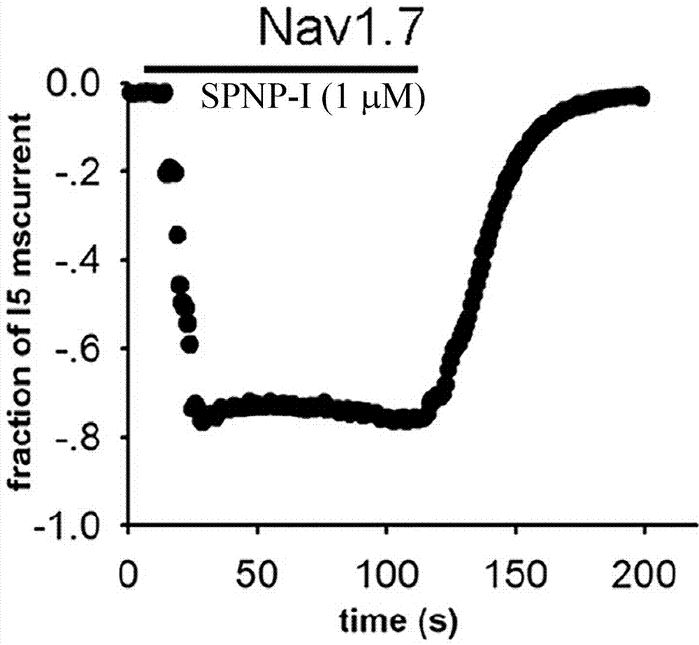 SPNP‑I在制备Nav1.7通道工具试剂中的应用的制造方法与工艺