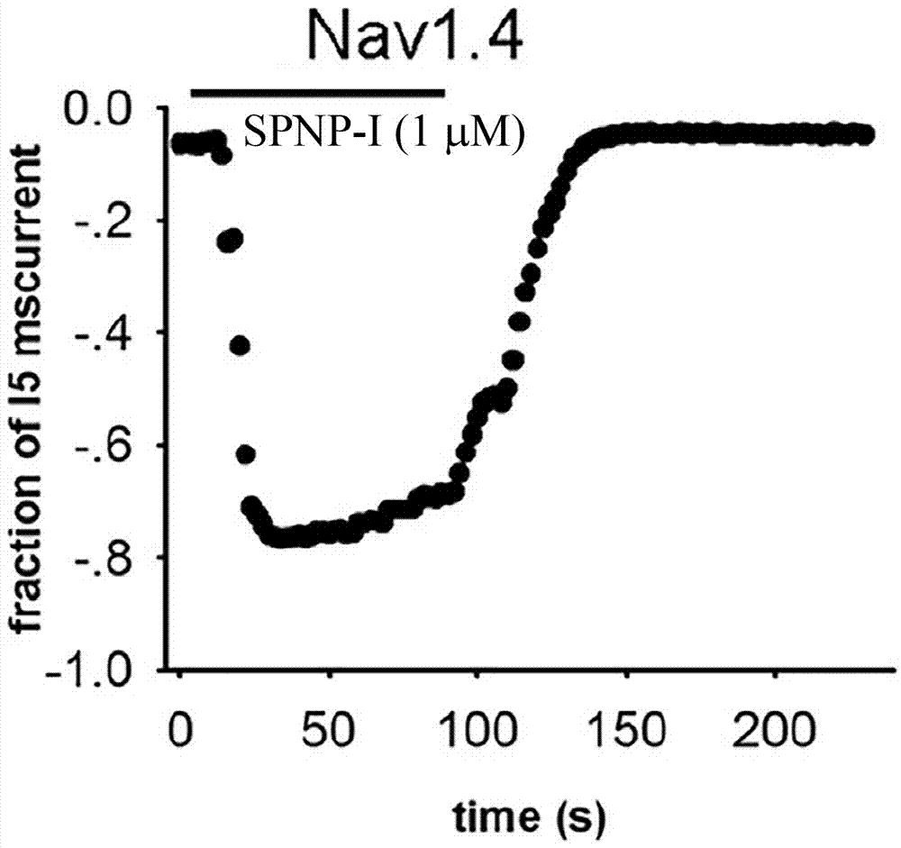 SPNP‑I在制备Nav1.4通道工具试剂中的应用的制造方法与工艺