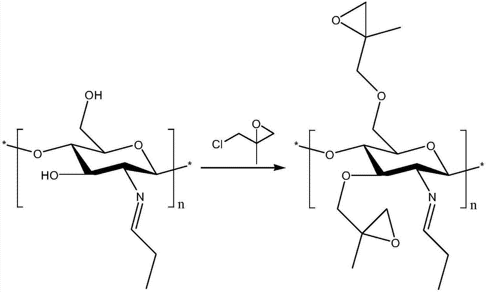 一种赭曲霉素A分子印迹聚合物的制备方法与流程