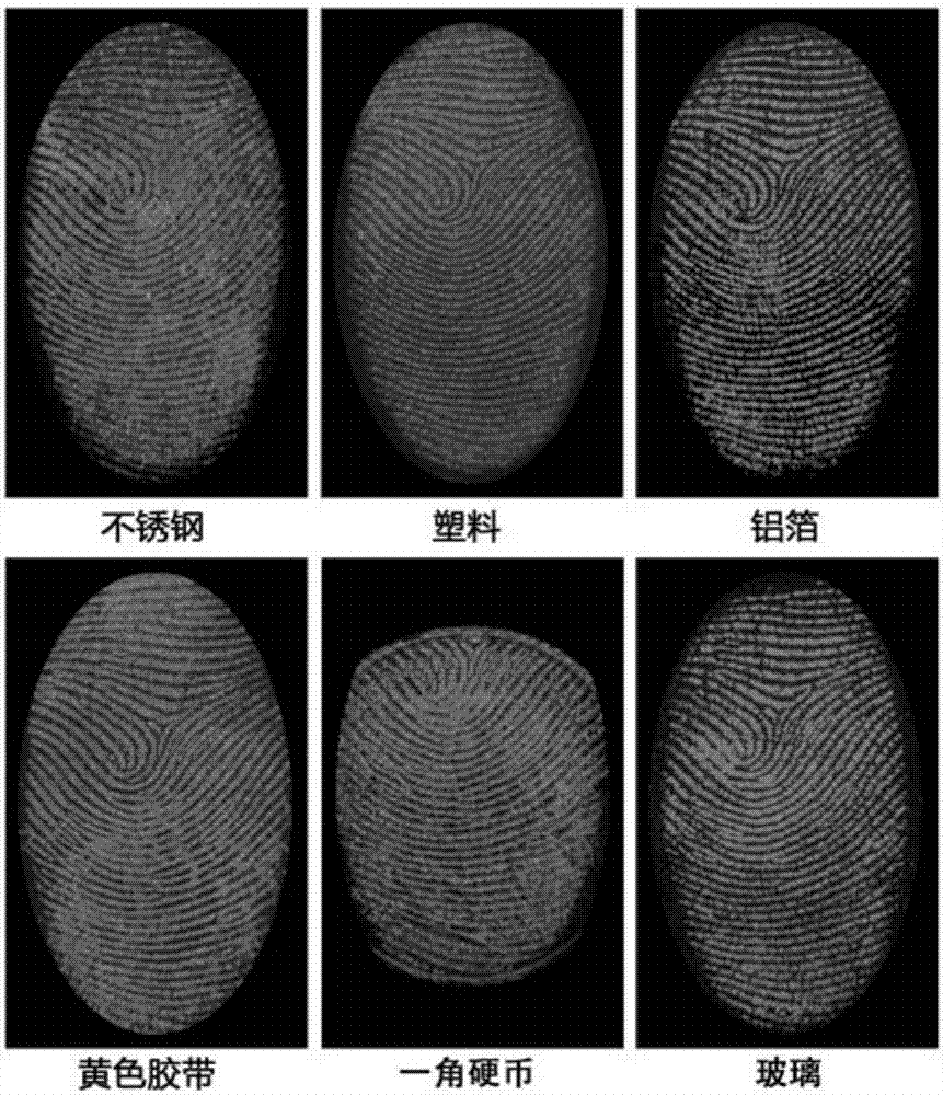 荧光共轭寡聚物二氧化硅复合纳米粒子在潜指纹显影中的应用方法与流程