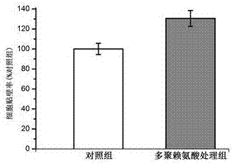 一種黑素細(xì)胞均勻生長的培養(yǎng)方法與流程